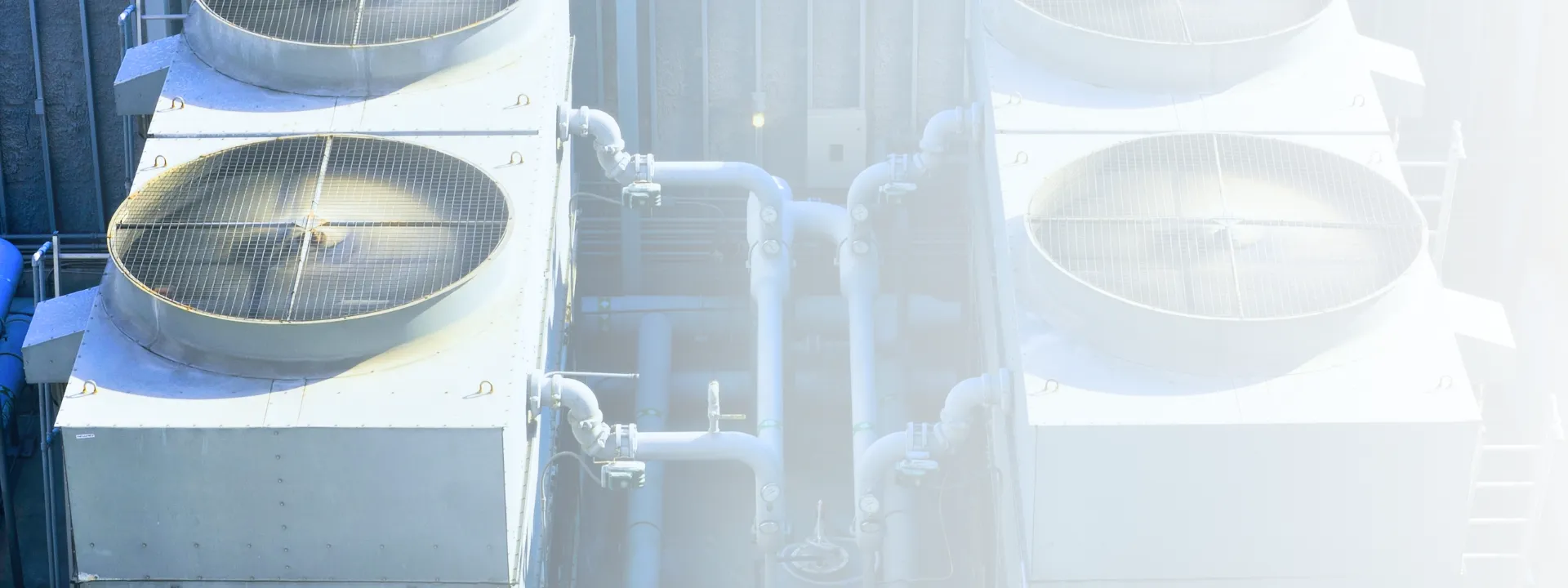 What We Do Background Frame